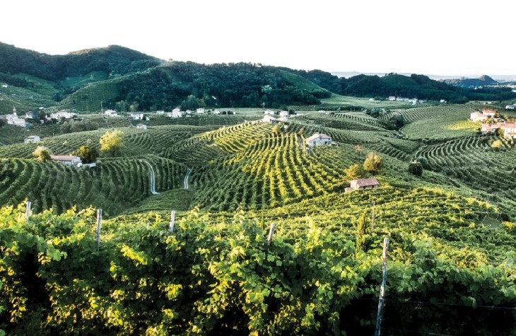 LA STRADA DEL PROSECCO A VALDOBBIADENE