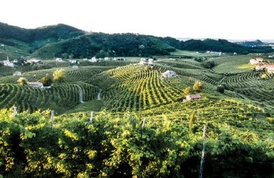 LA STRADA DEL PROSECCO A VALDOBBIADENE
